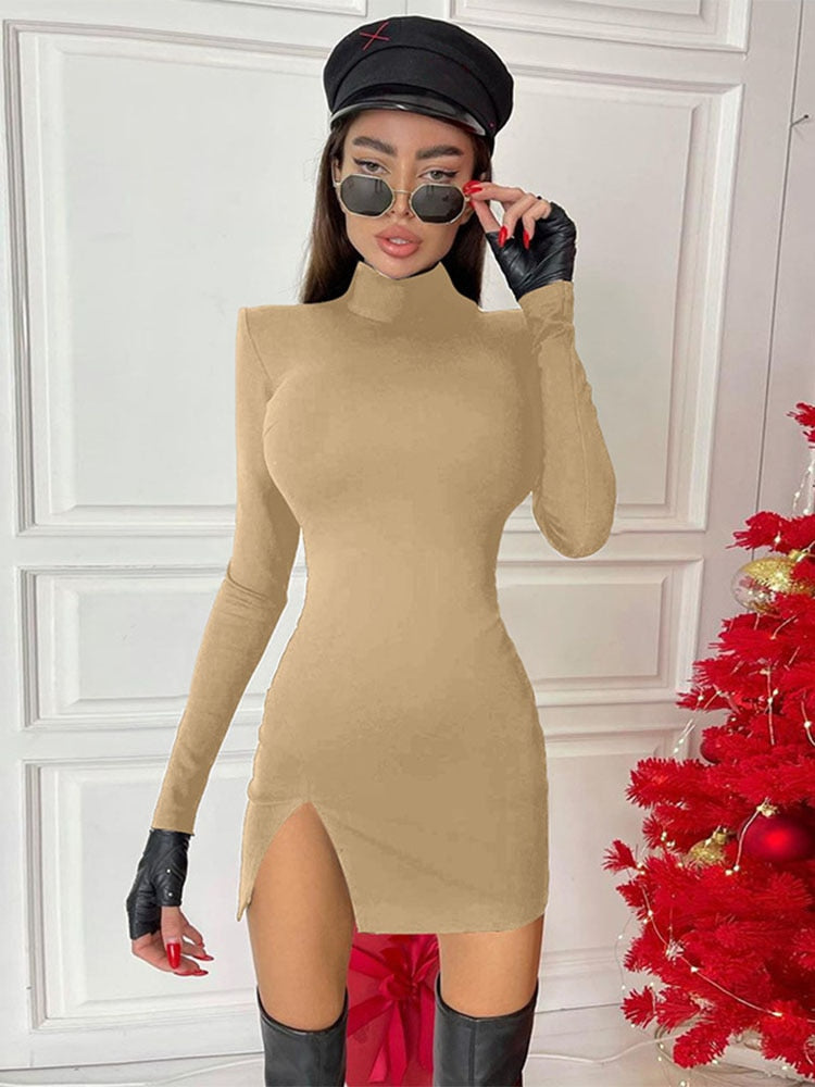 Sexy Long Sleeve Dress