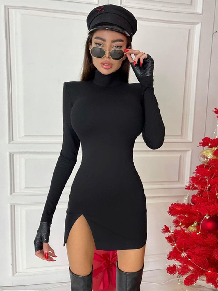 Sexy Long Sleeve Dress